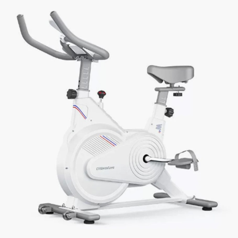 Dual Monitor Stand - Indoor Stationary Spin Bike, Silent Magnetic