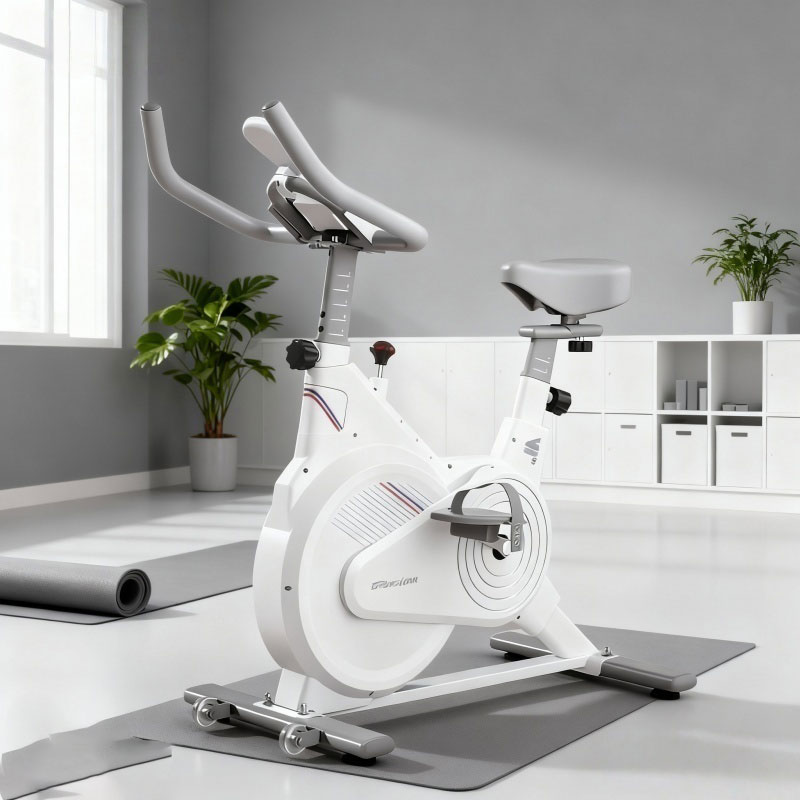 Indoor Stationary Spin Bike, S - đánh giá và giá Dual Monitor Stand